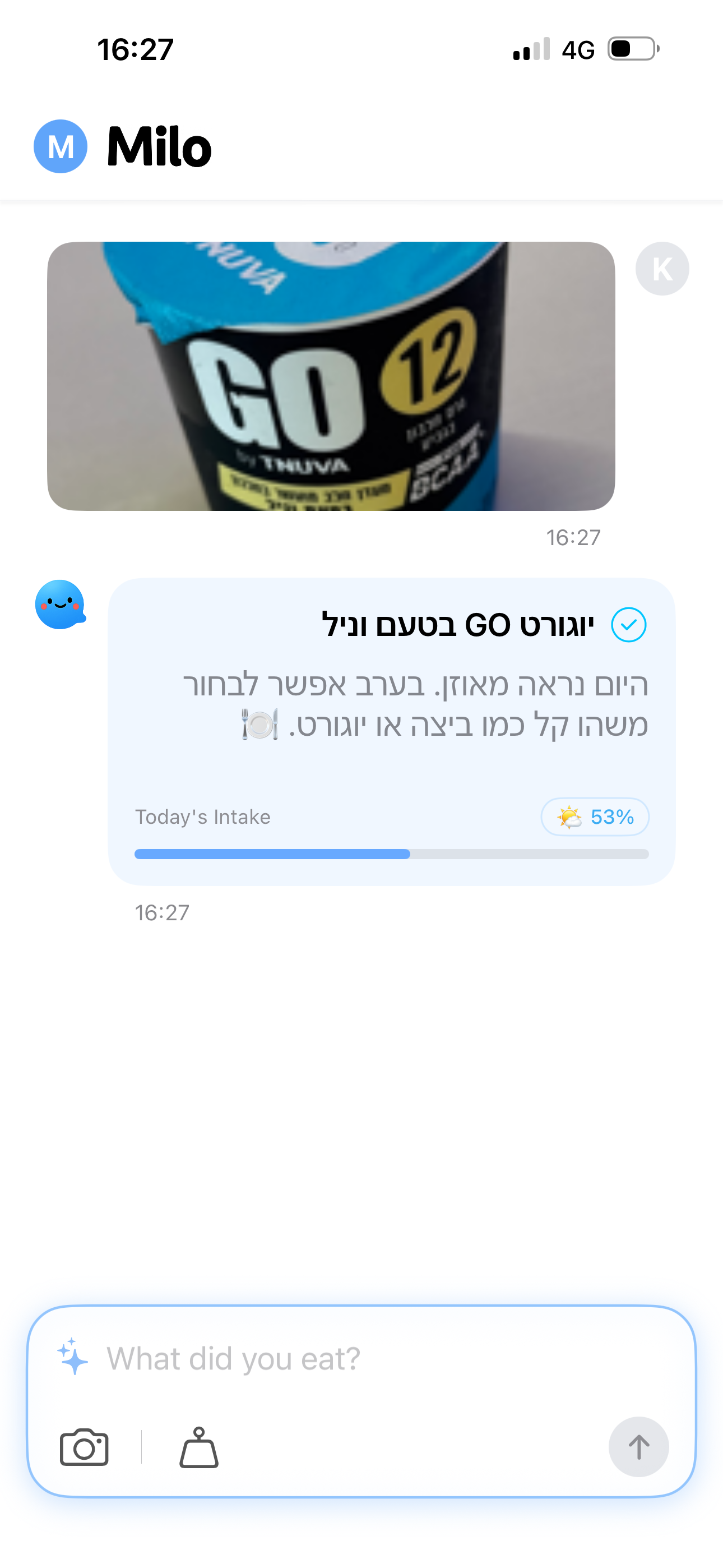 Milo chat-style logging and daily insights